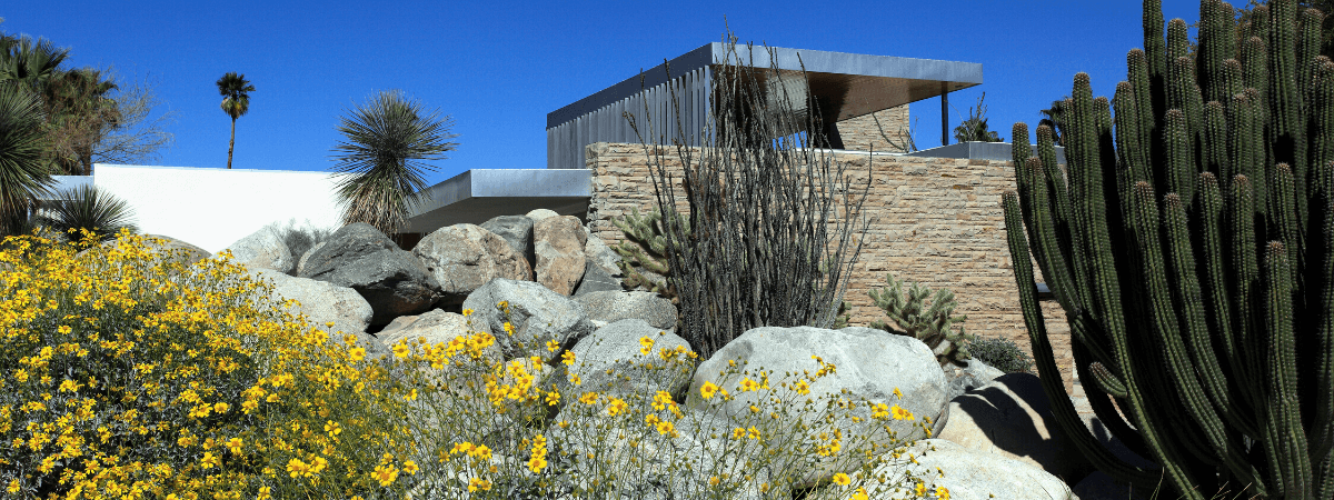 Iconic Landscape Design Styles - Rock & Succulent style.